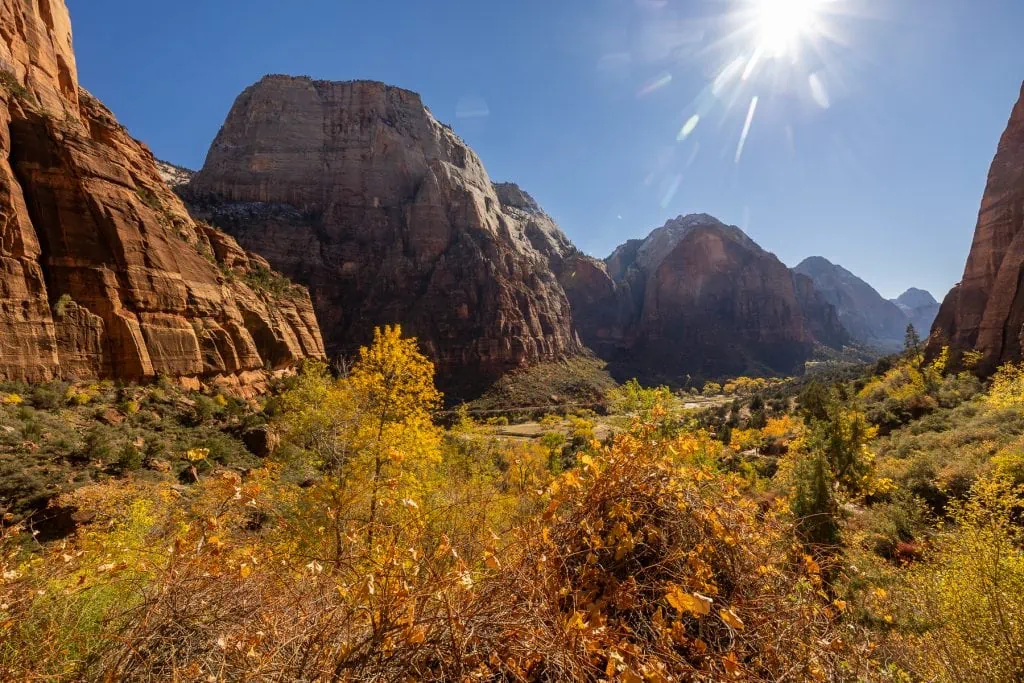 A sunny november day in Zion National Park shoes blue sky over towering rock formations and yellow and auburn fall colored trees in the valley below.