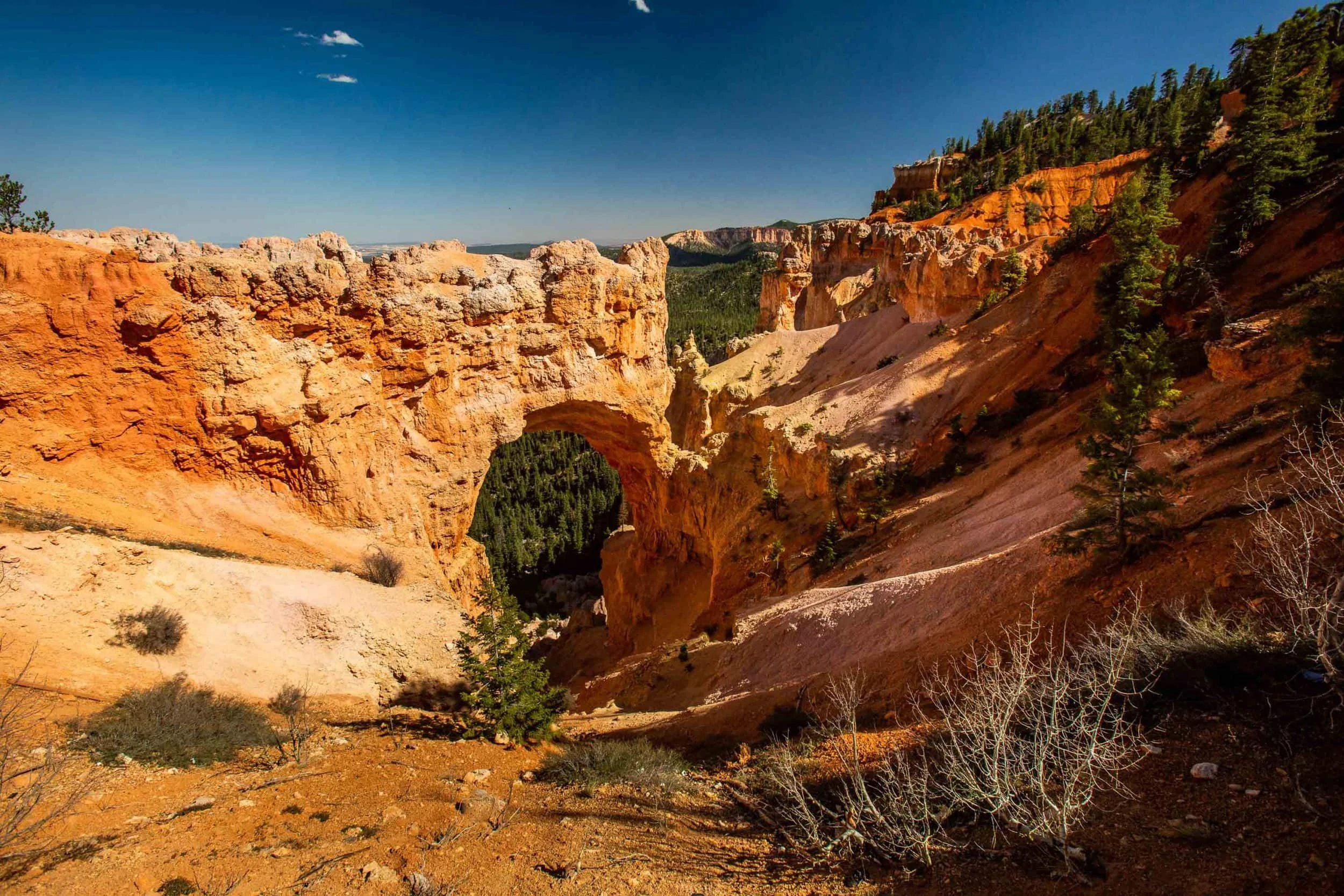 The natural bridge in Bryce Canyon National Park makes a great photo spot.