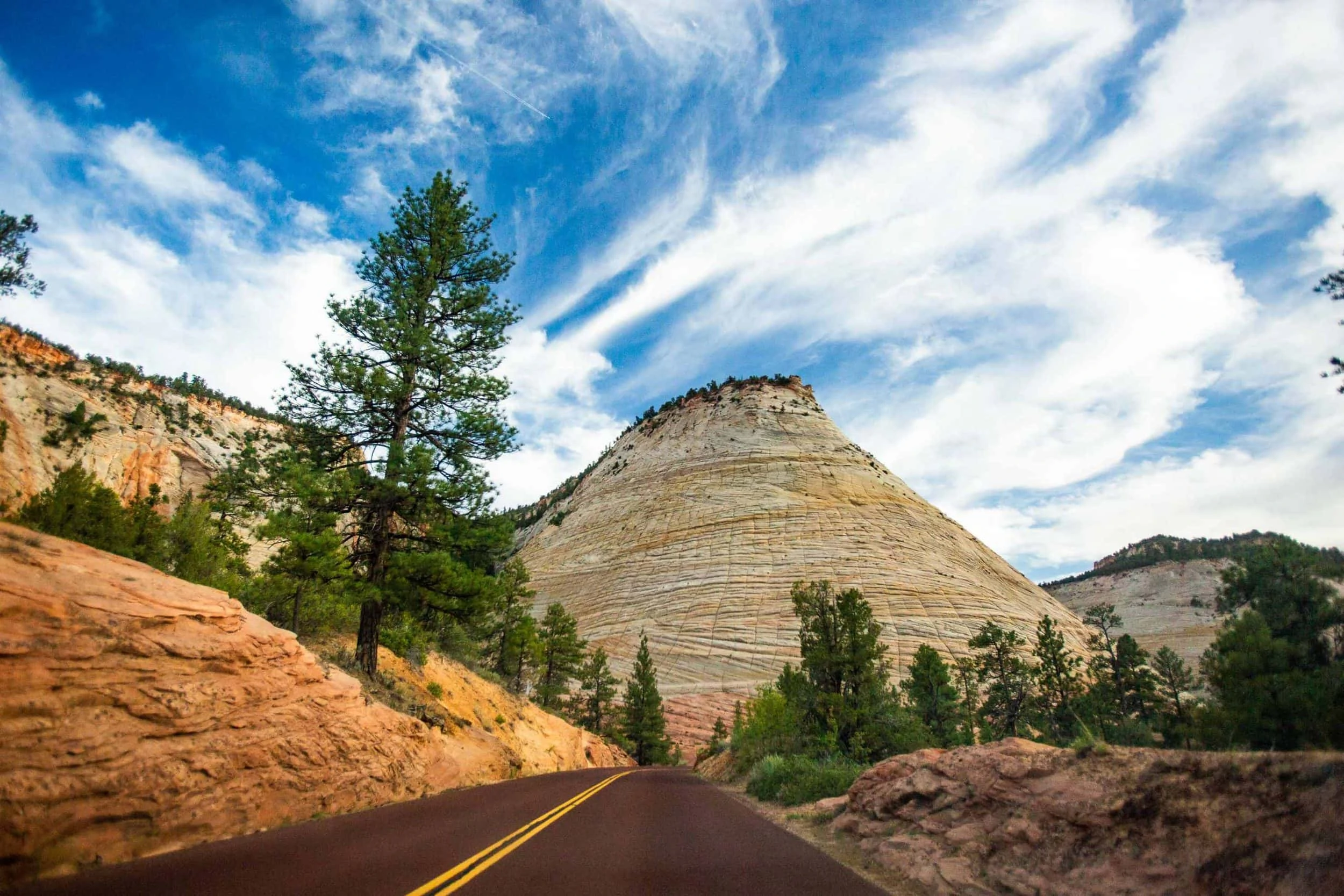 A large petrified beehive rock formation in Zion National Park on east portal road, framed by green conifers, a long stretch of road, and blue sky with clouds.
