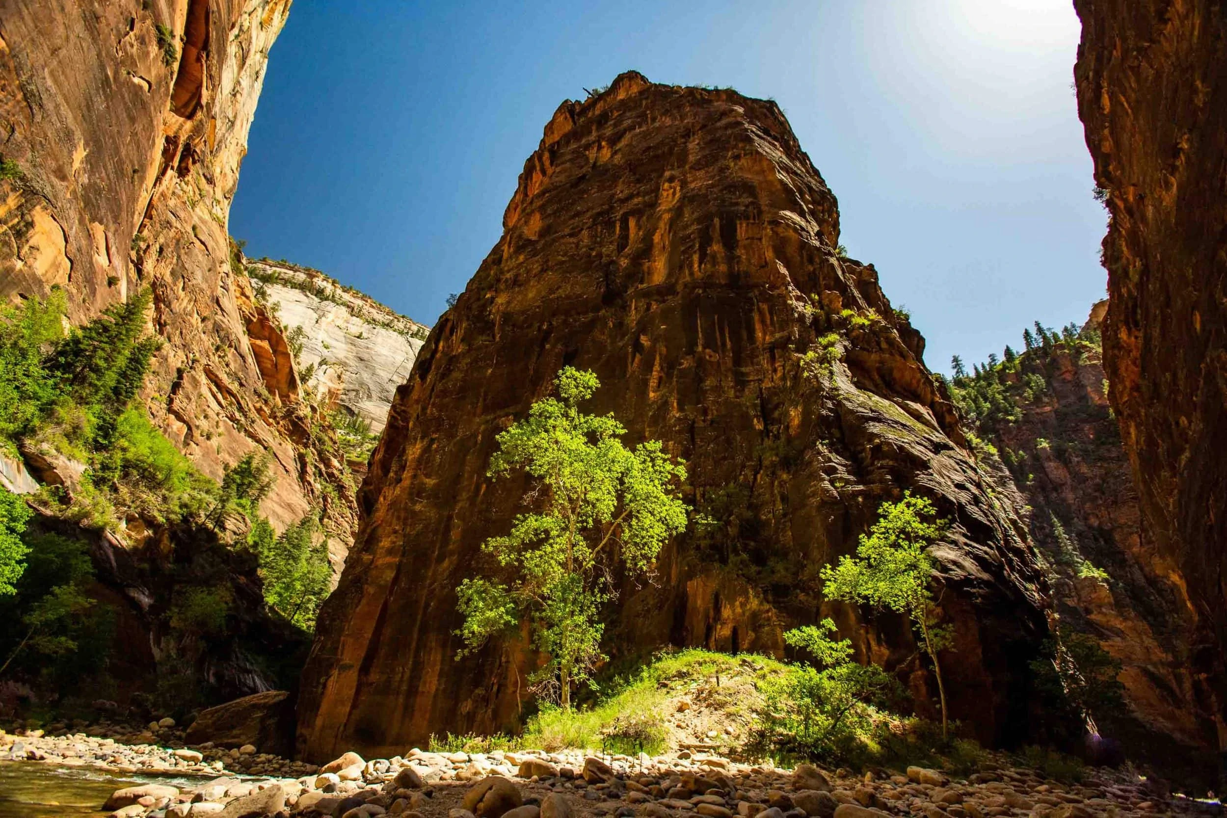 A small, mountain-like natural rock formation is bathed in sunlight at a picturesque possible elopement location, in temple of Sinawava Zion National Park.