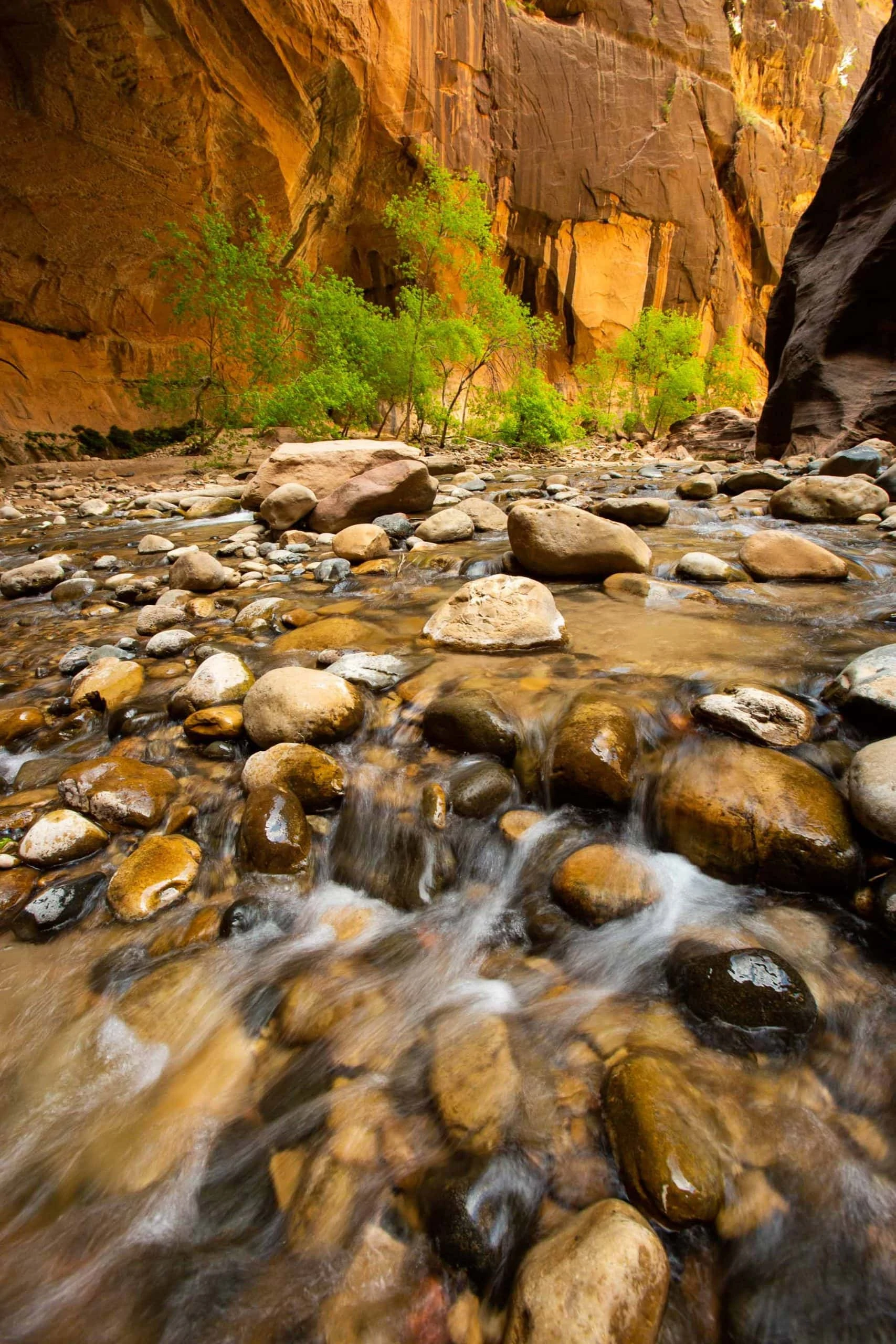 Running water in Zion Narrows near the temple of Sinawava elopement locations in Zion National Park, taken with a long exposure.