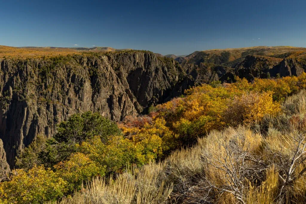 The South Rim of Black Canyon of the Gunnison in fall, with colorful oak leaves.