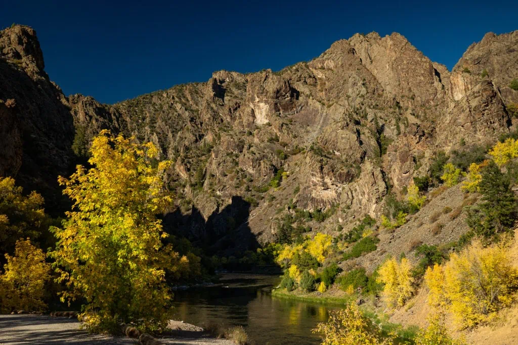 The Gunnison river winds through Black canyon of the gunnison national park with yellow cottonwoods on the shore.