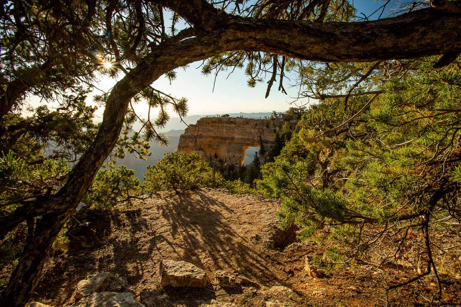 The natural arch on the north rim of the grand canyon framed by trees.