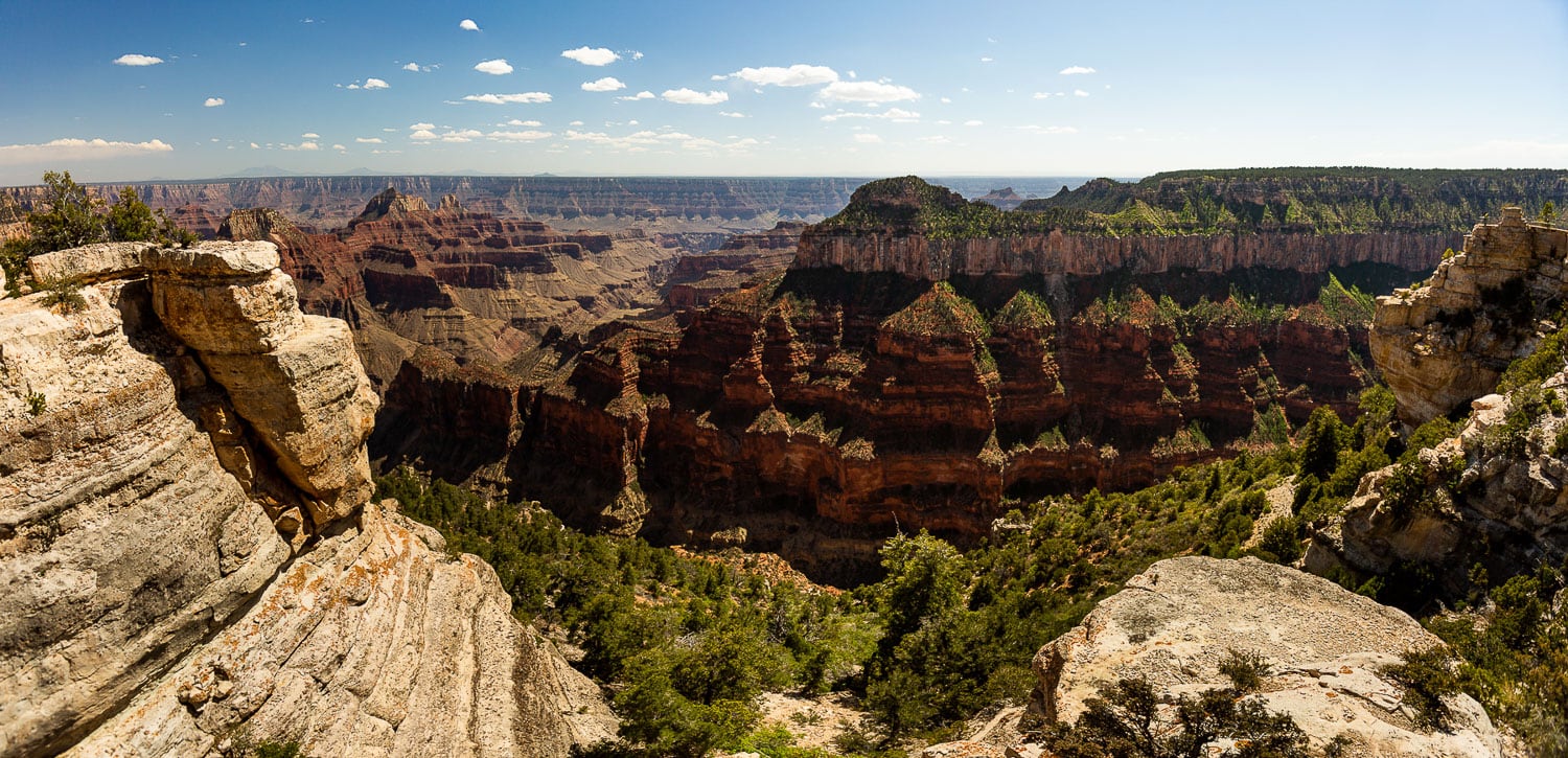 A panoramic view of the north rim of the grand canyon on a sunny day.