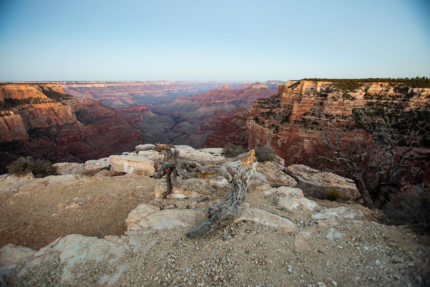 The dry landscape of the Grand canyon.
