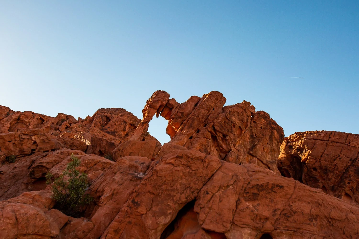 Elephant rock is a sandstone arch in Valley of Fire state park that resembles the outline of an Elephant.