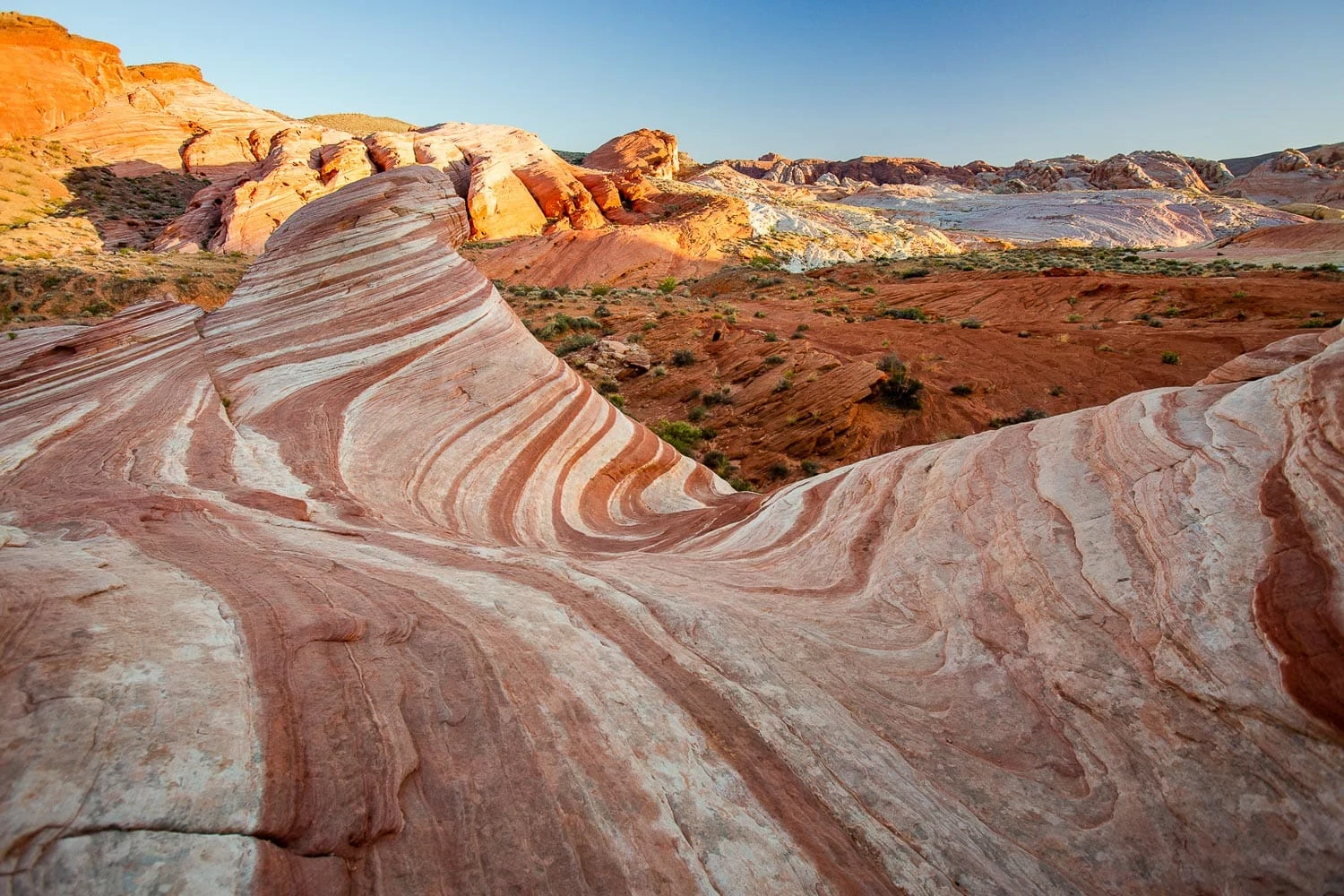 Fire Wave rock formation in Valley of Fire with its pink streaks.