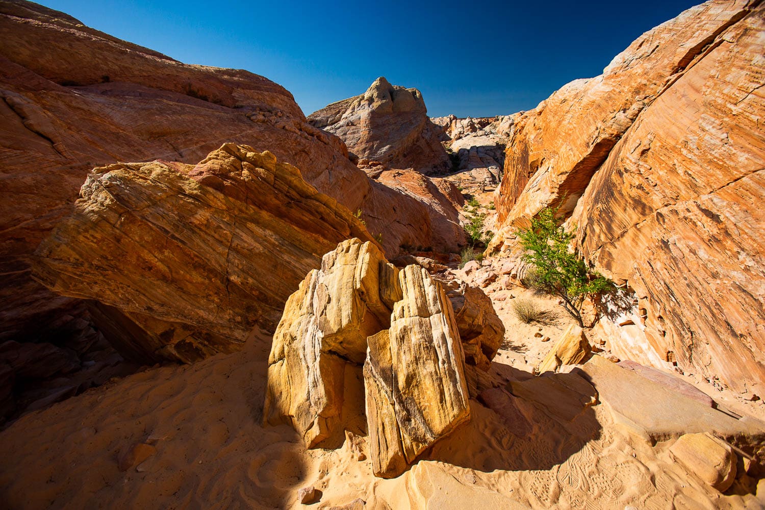The white domes hike in Valley of fire is one of the most colorful places in the desert.