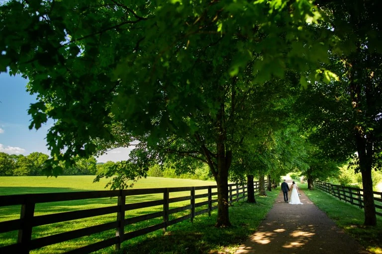 Backyard Wedding Photos in the South – Destination Wedding Photographer