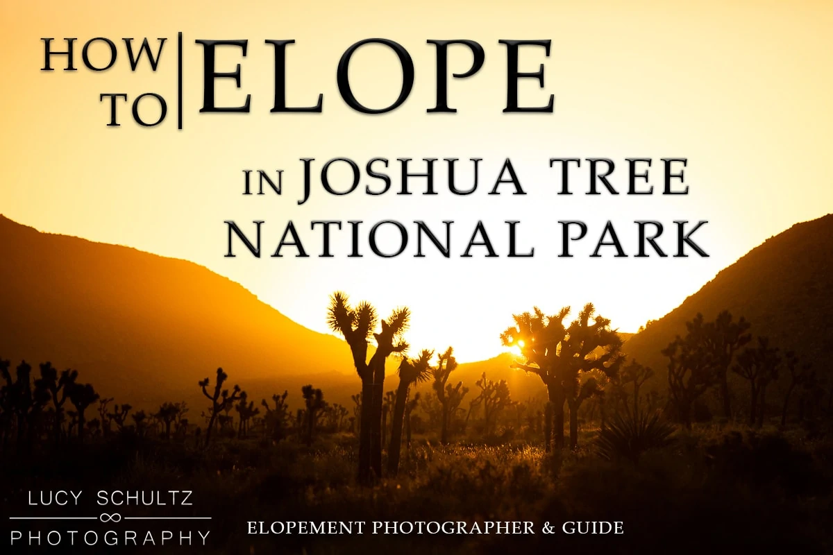 Joshua Tree Elopement Guide – Everything you need to know for 2024