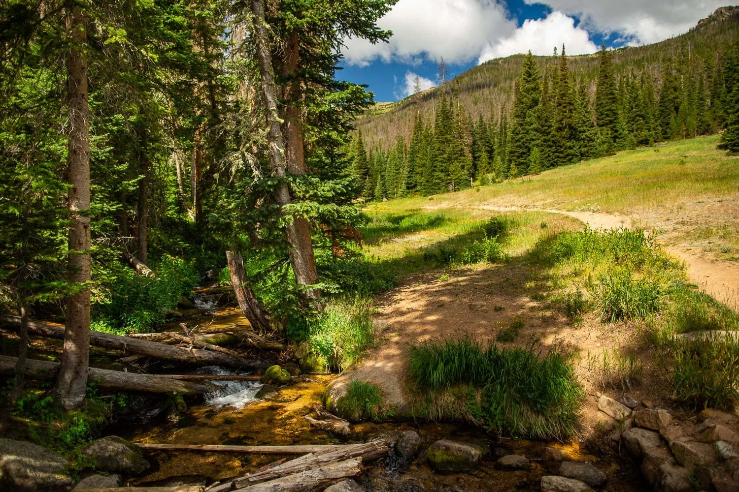 The Hidden Valley ceremony location in Rocky Mountain National Park has a hiking trail and small brook