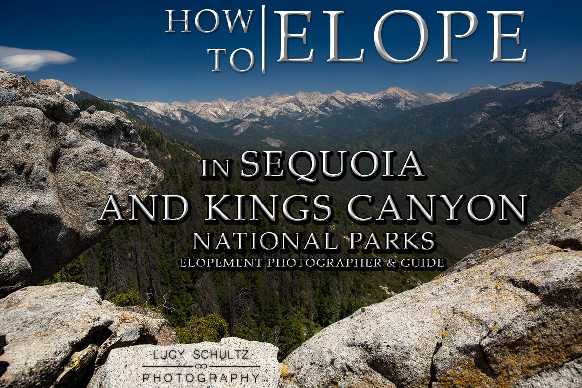 Sequoia National Park Elopement Photographer