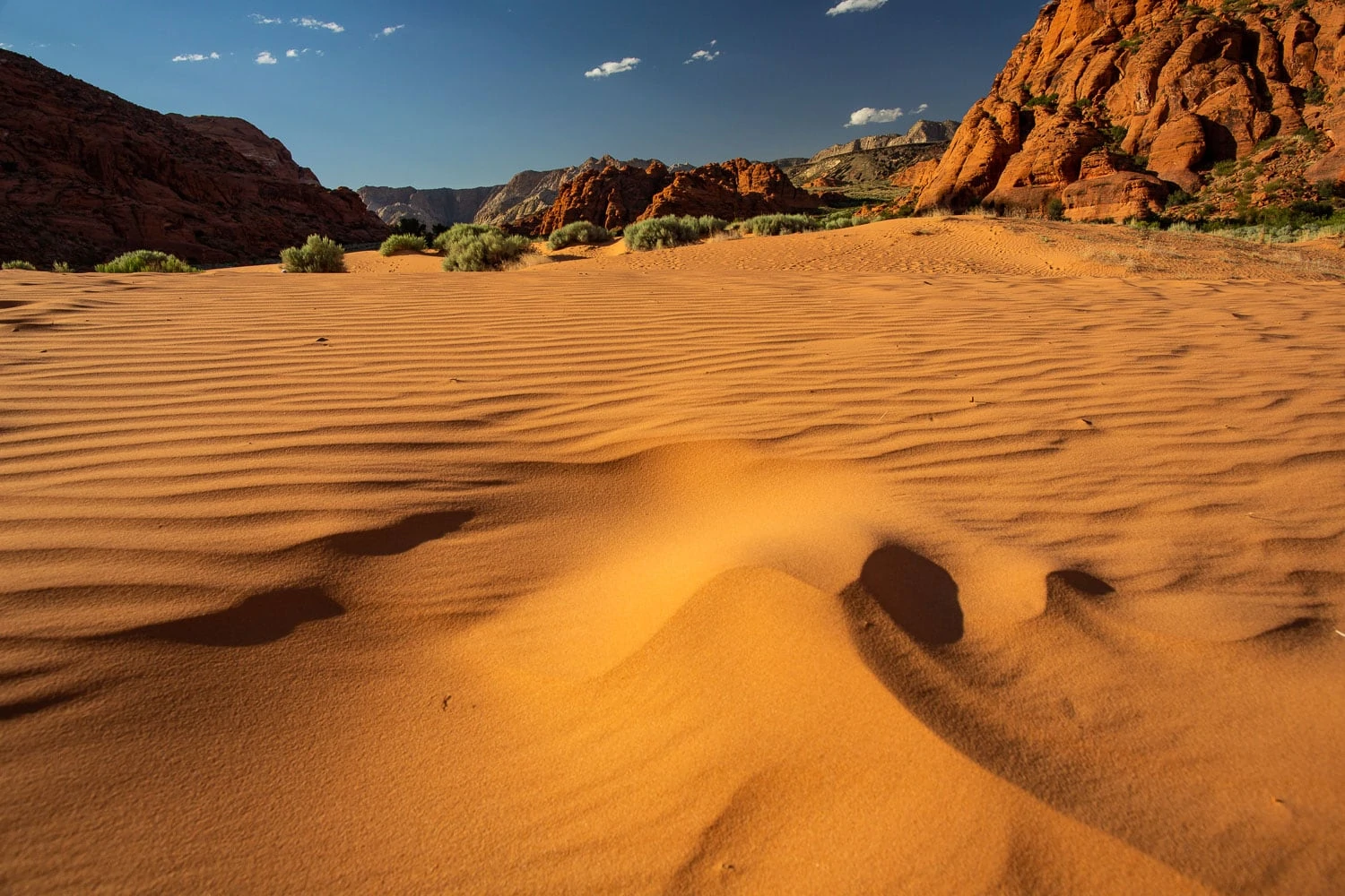 The sand dunes at Snow Canyon State Park is one of 4 elopement locations approved by the park.