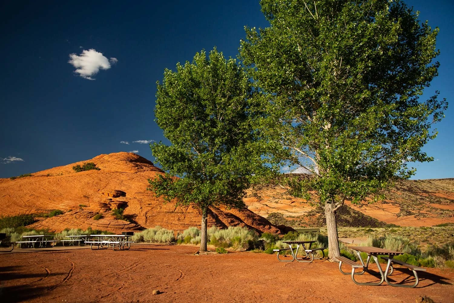 The lower galoot picnic area in Snow Canyon State Park is a designated ceremony location for elopements and weddings.