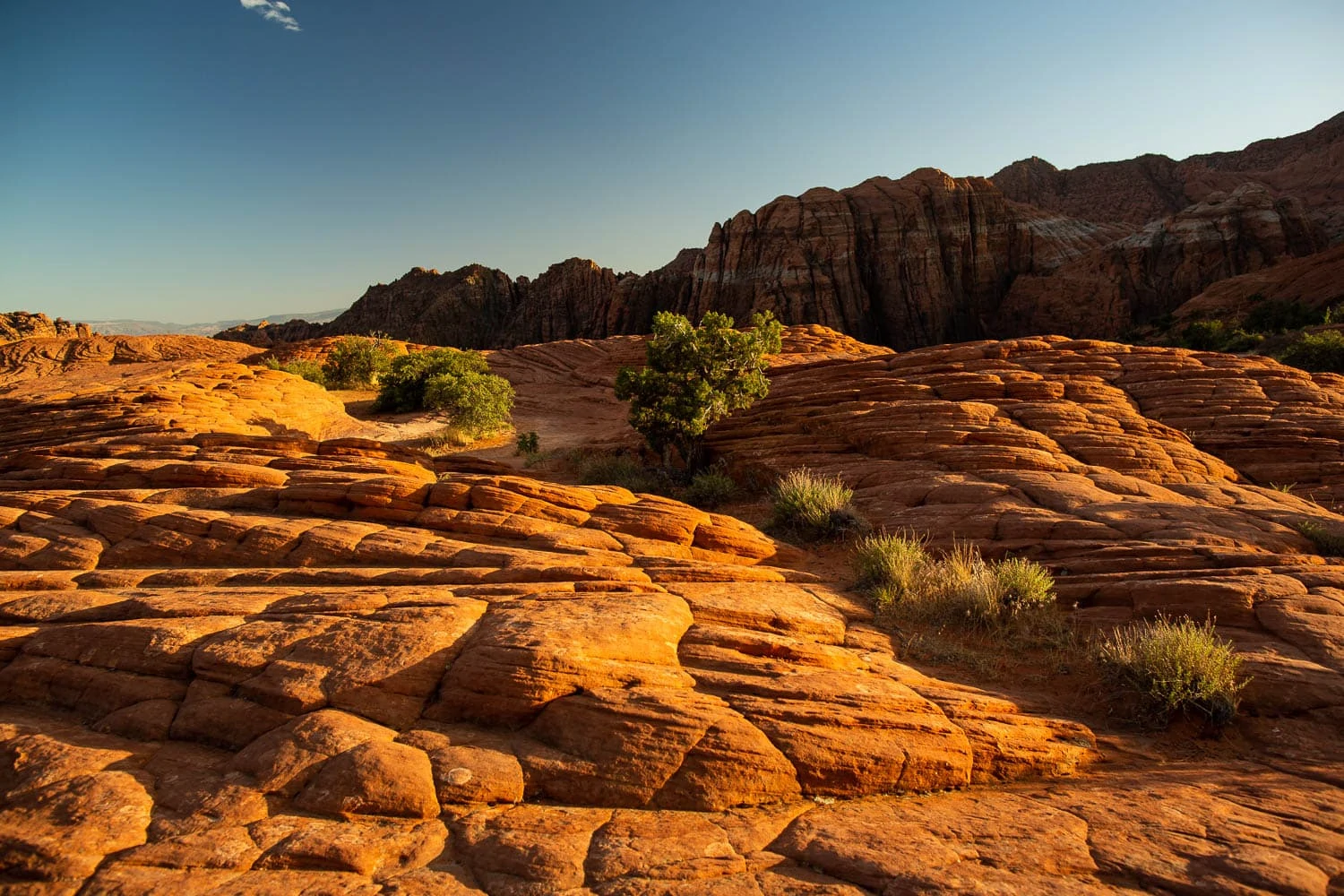 Orange stone dunes roll endlessly to the horizon in Snow Canyon state park.