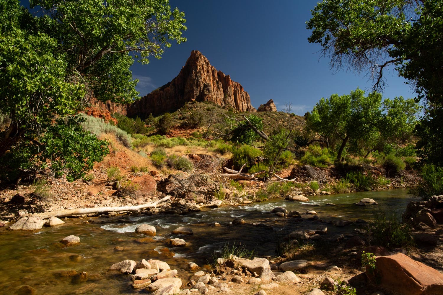 A landscape photo of The Watchman mountain in Zion National Park.