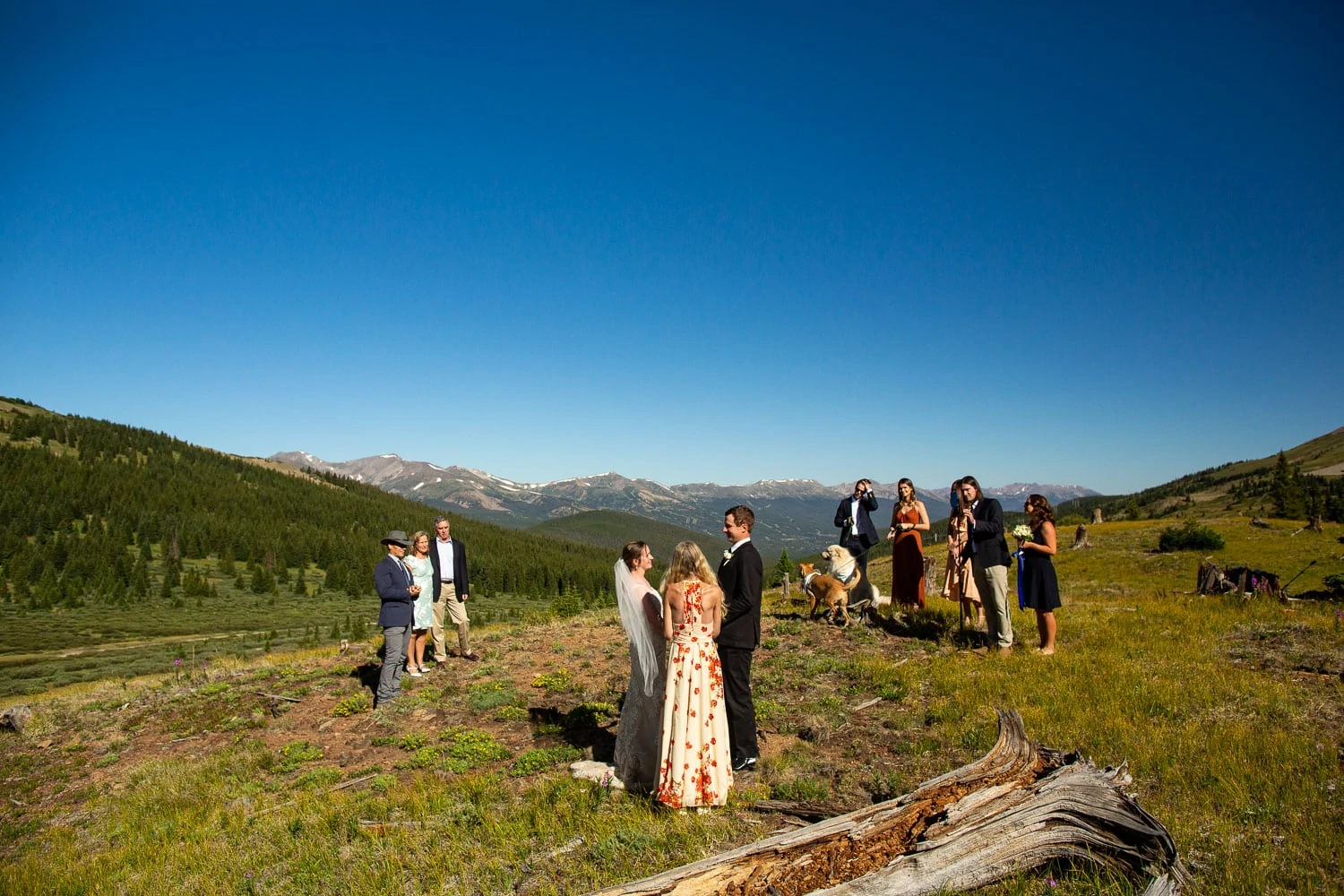 An elopement couple in Colorado included a few family members in their plan.