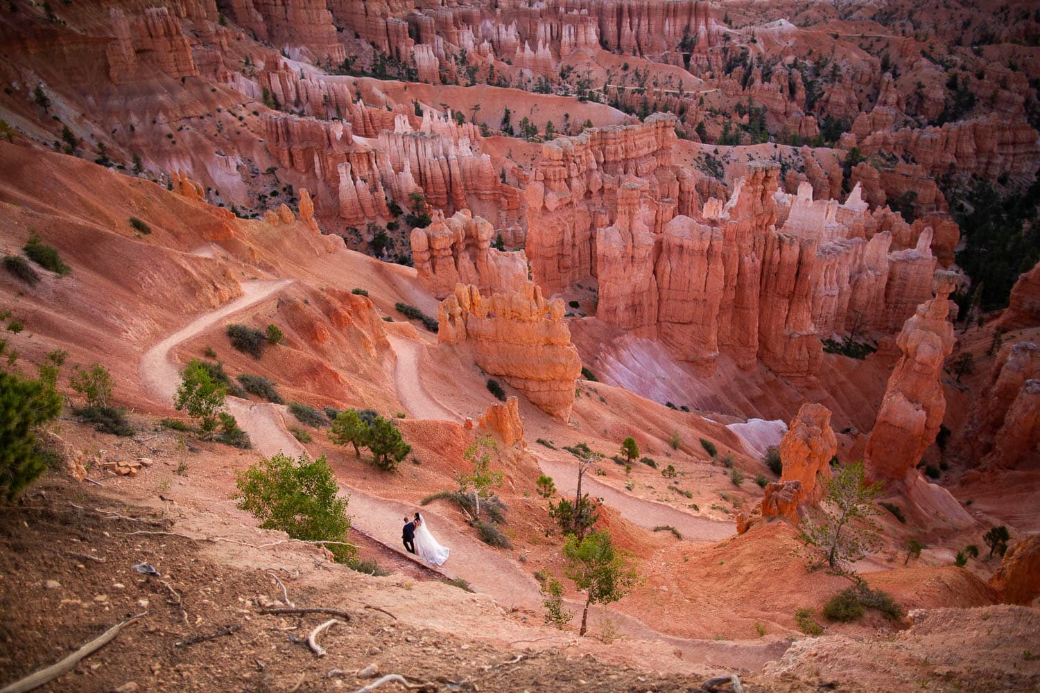 A landscape photo of Bryce Canyon amphitheater with a wedding couple strolling through.