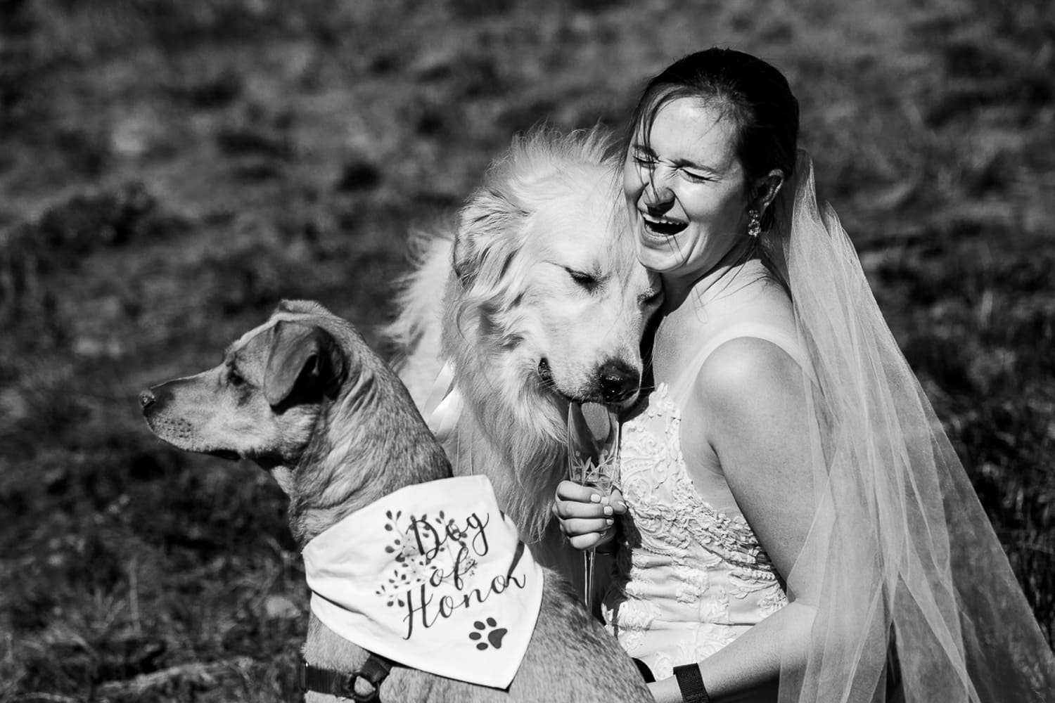 A bride laughs as her dog drinks from her champagne glass at her elopement.