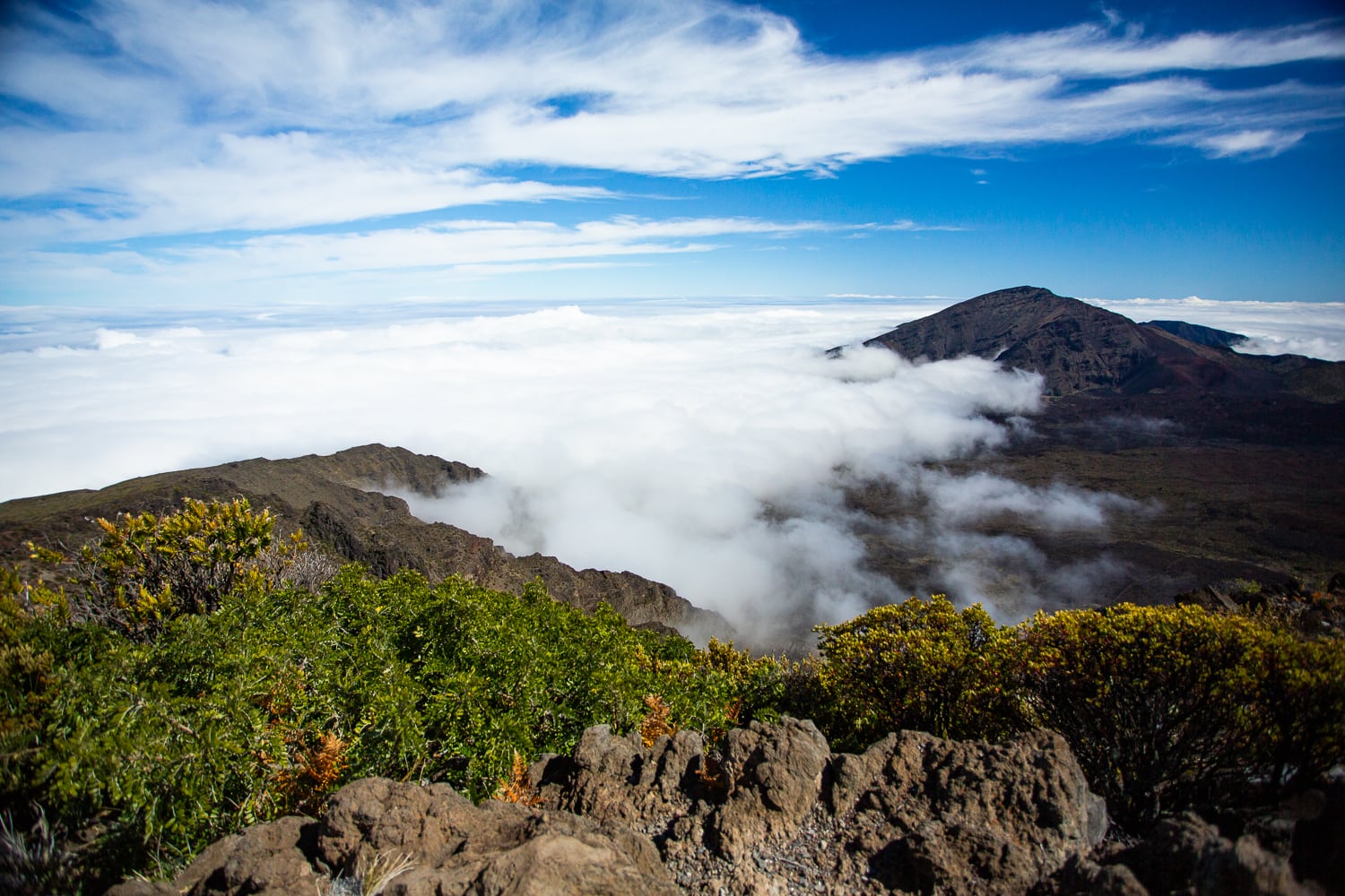 The leleiwei overlook elopement location in Haleakala's Summit district.