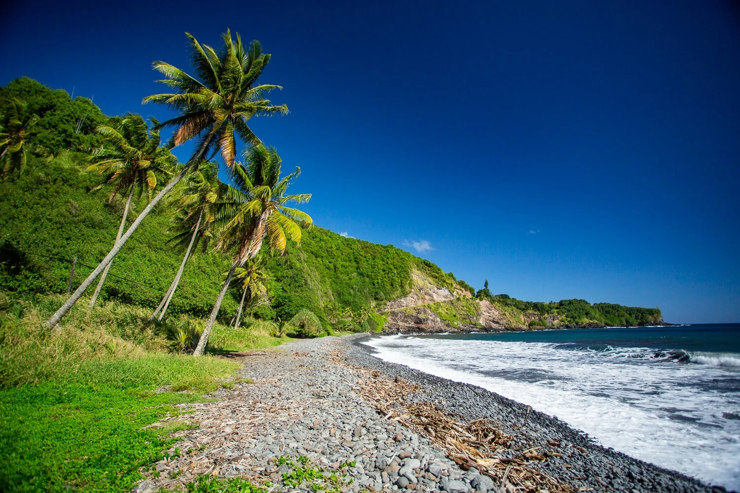 A pebble beach on Maui with blue sky and swaying palm trees.