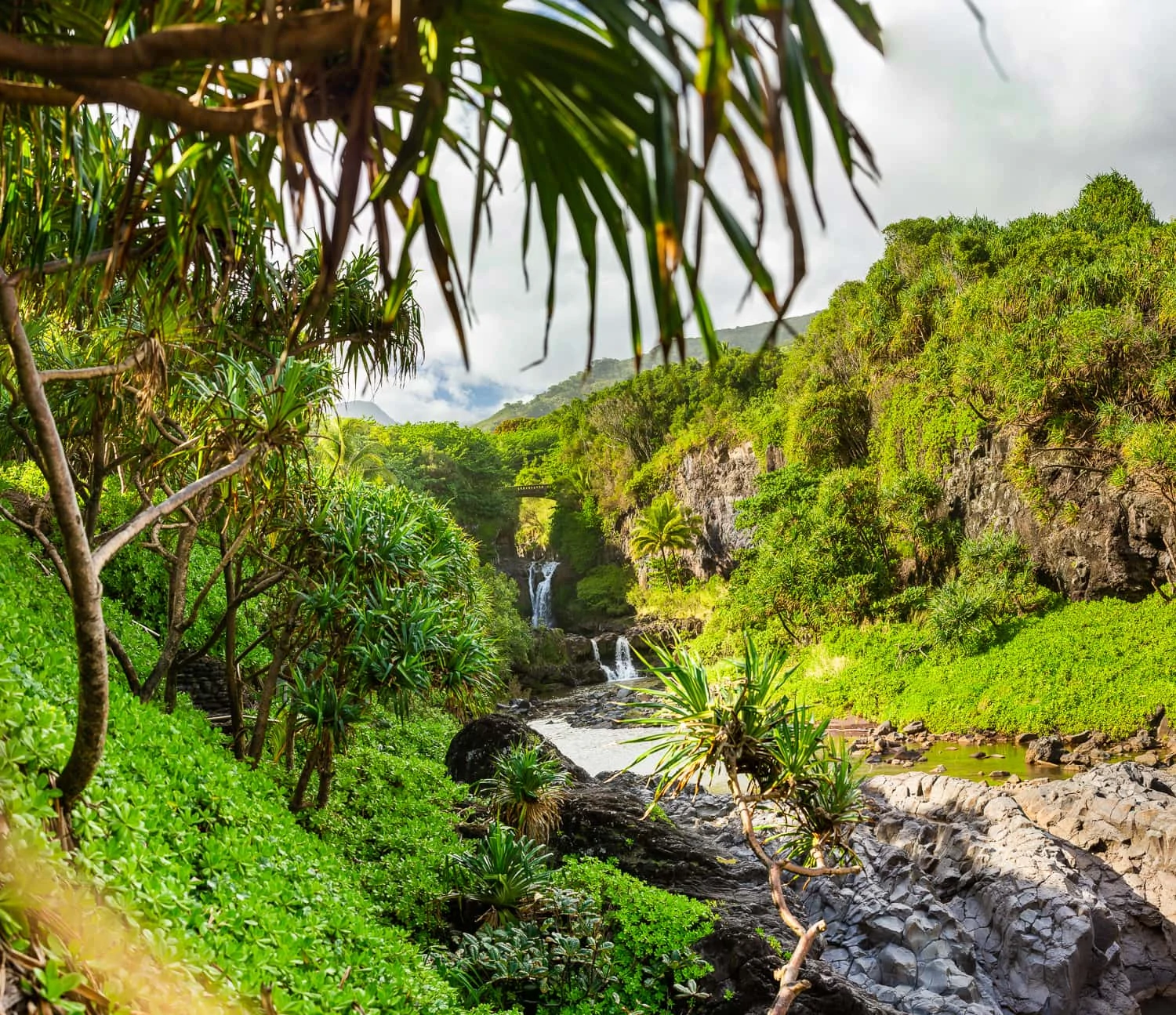 The twin waterfalls of the pools of oheo in Haleakala National Park from the Kipahulu District. Green jungle foliage surrounds the falls.