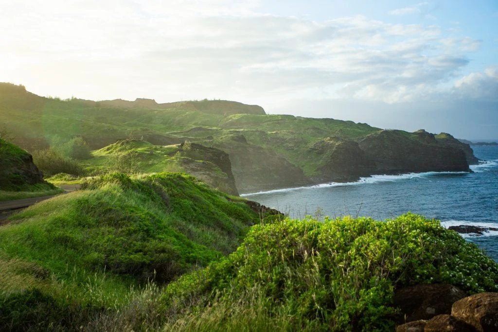 Rugged cliff coastline cuts into the green jungle of North Maui.