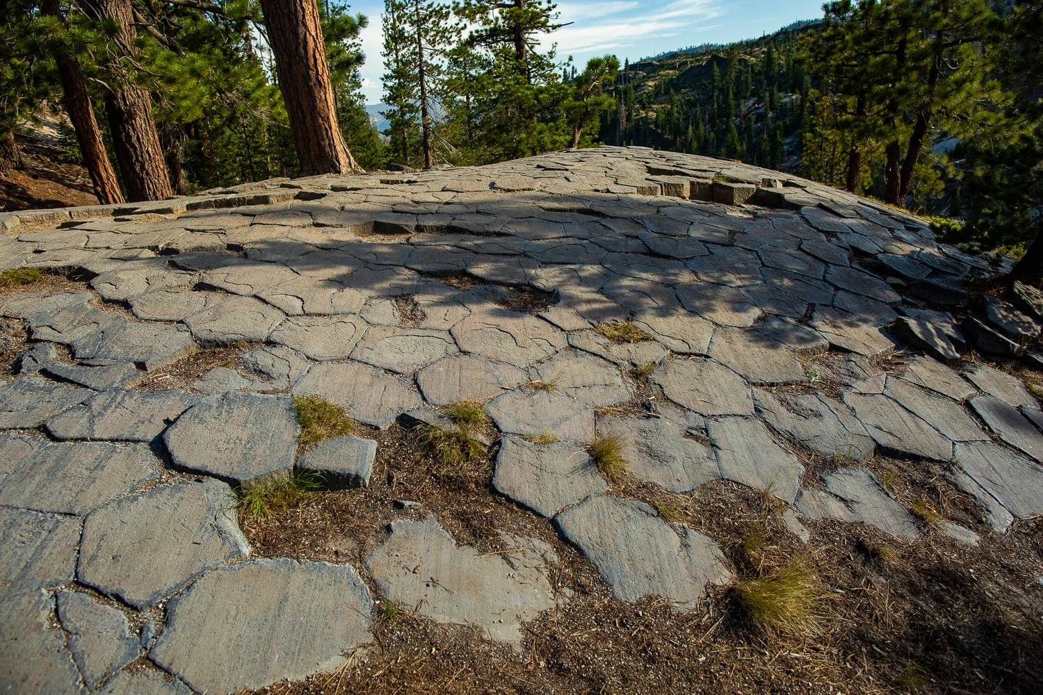 A natural hexagonal tile floor in the woods at Devil's postpile.