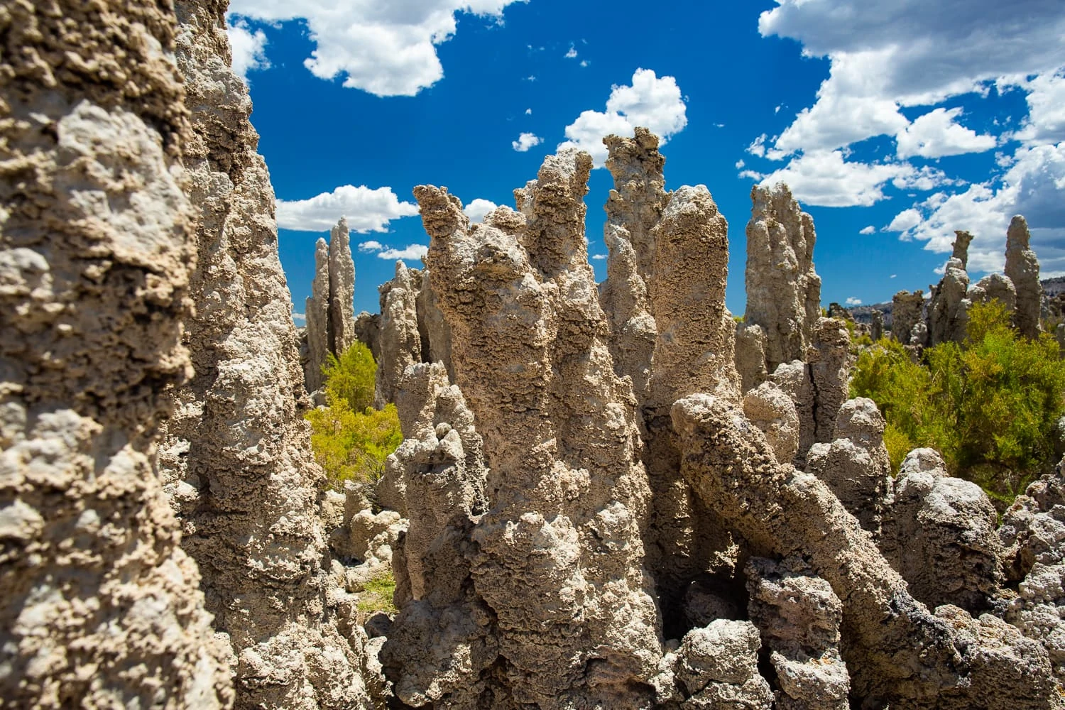 Strange looking spires of tufa crowd together on the shore of mono lake, a unique place to elope in California.