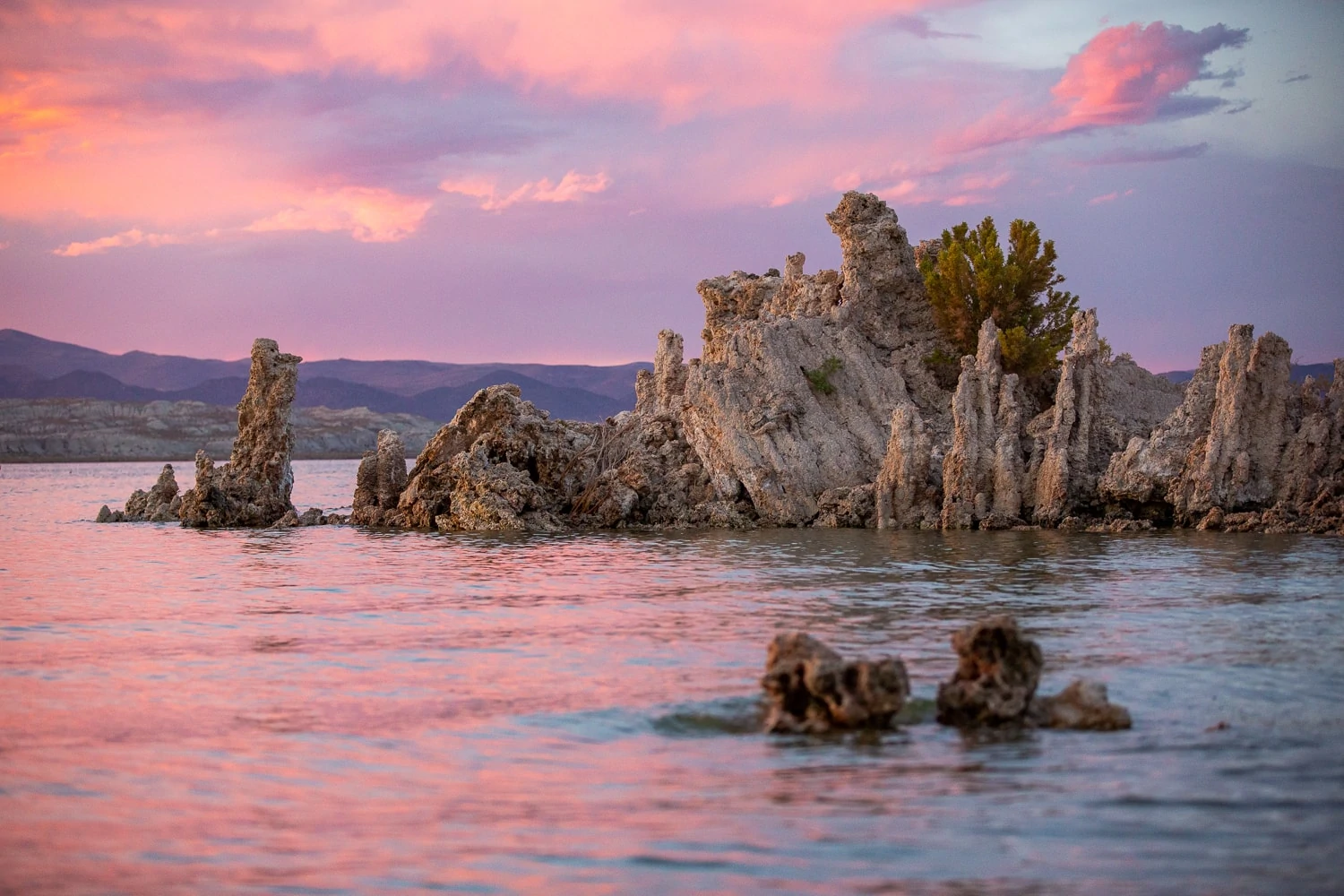 Sunset at mono lake's south tufa formations with a pink sky.