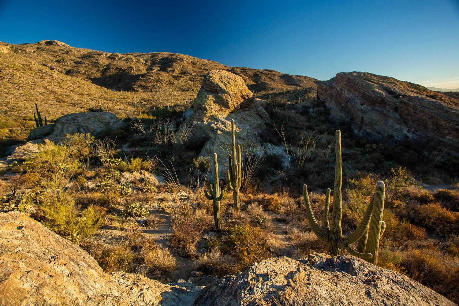 An east saguaro national park elopement location with large rocks and mountains in the background.