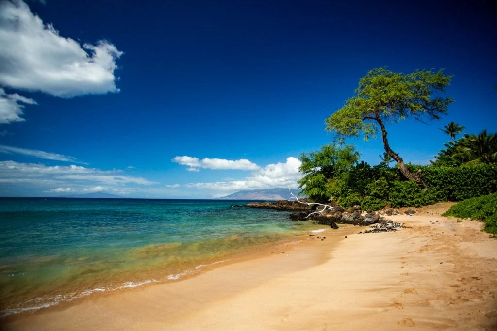 Blue sky over a peaceful tropical beach on Maui's south shore.