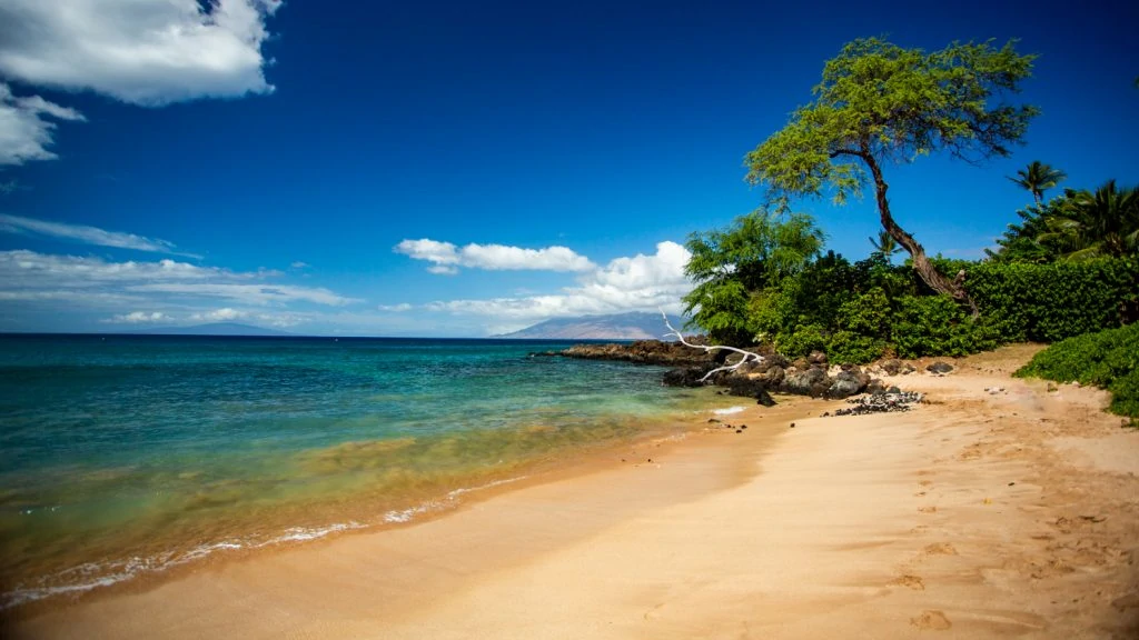 A tropical beach on Maui, Hawaii