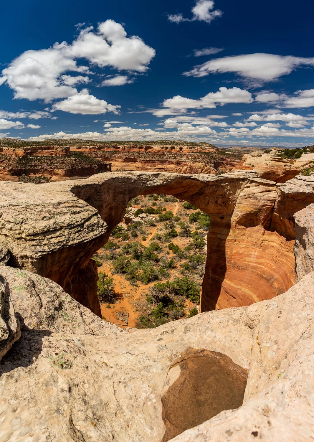 The rattlesnake arches in western colorado framed by the red walled canyon and blue sky with puffy white clouds.