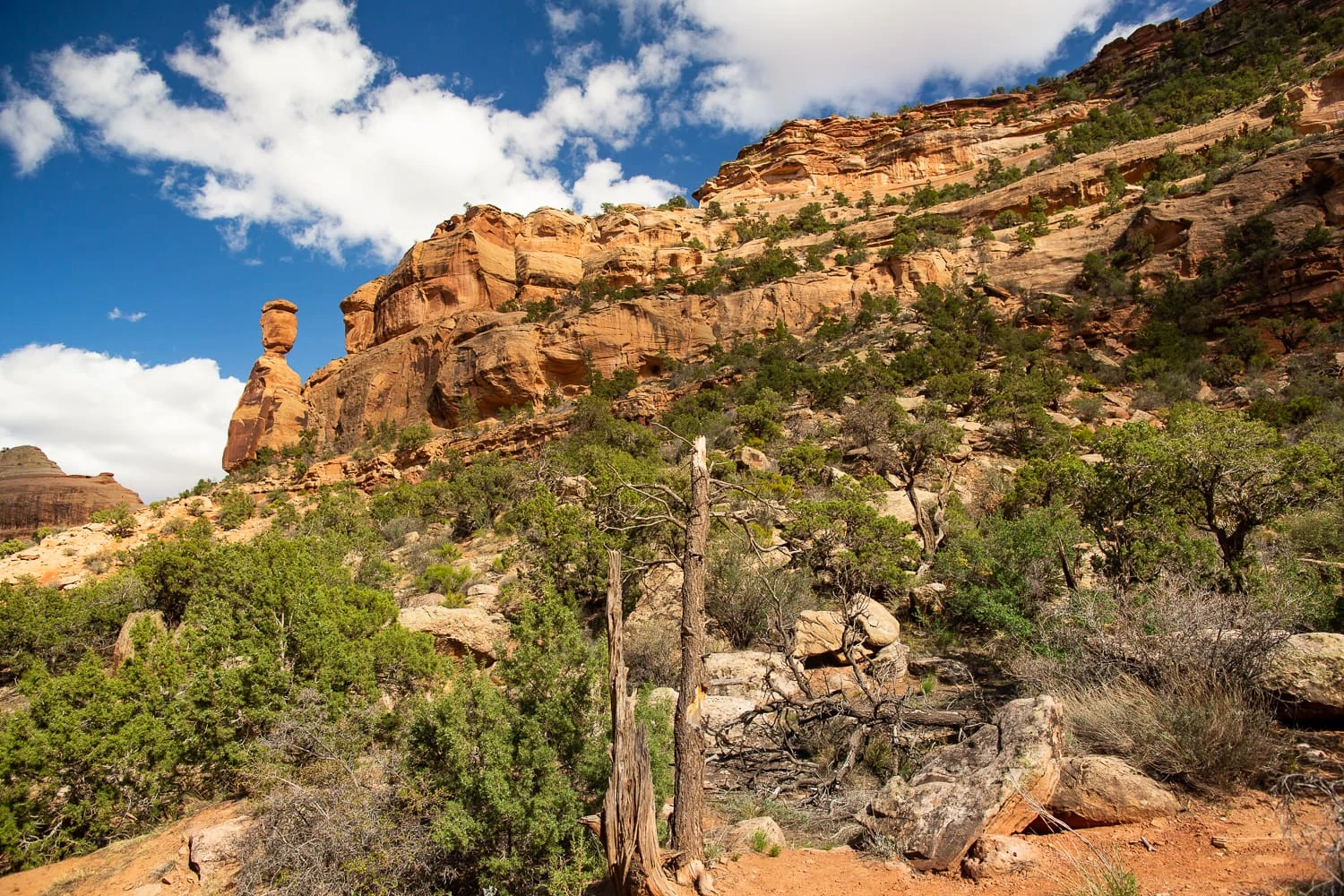 The uphill slope towards Balanced Rock in Colorado National Monument with blue sky and puffy white clouds.