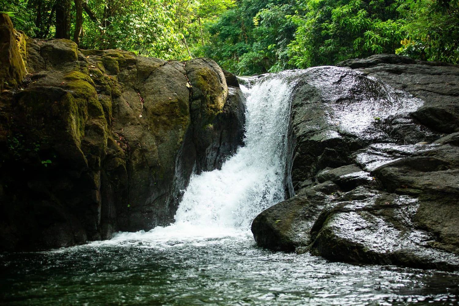 A short but powerfull waterfall rushes over a jungle riverbed in Manuel Antonio, Costa Rica.