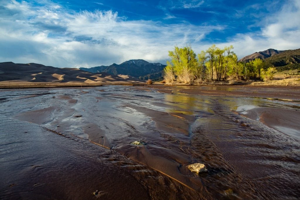 Medano Creek in spring running through Great Sand Dunes national park in Colorado. Green Cottonwoods frame the mountains in the background.