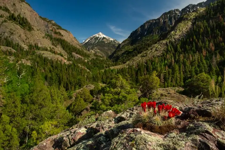 2024 Ultimate Ouray Elopement Locations Guide