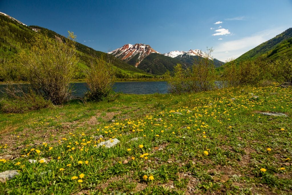 A lake in Ouray, Colorado with wildflowers and mountain peak views.