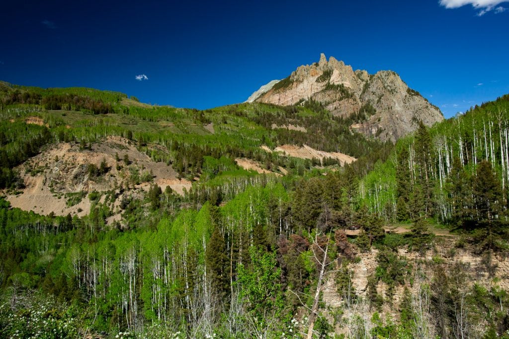 A view of the mountains and aspens in telluride, colorado