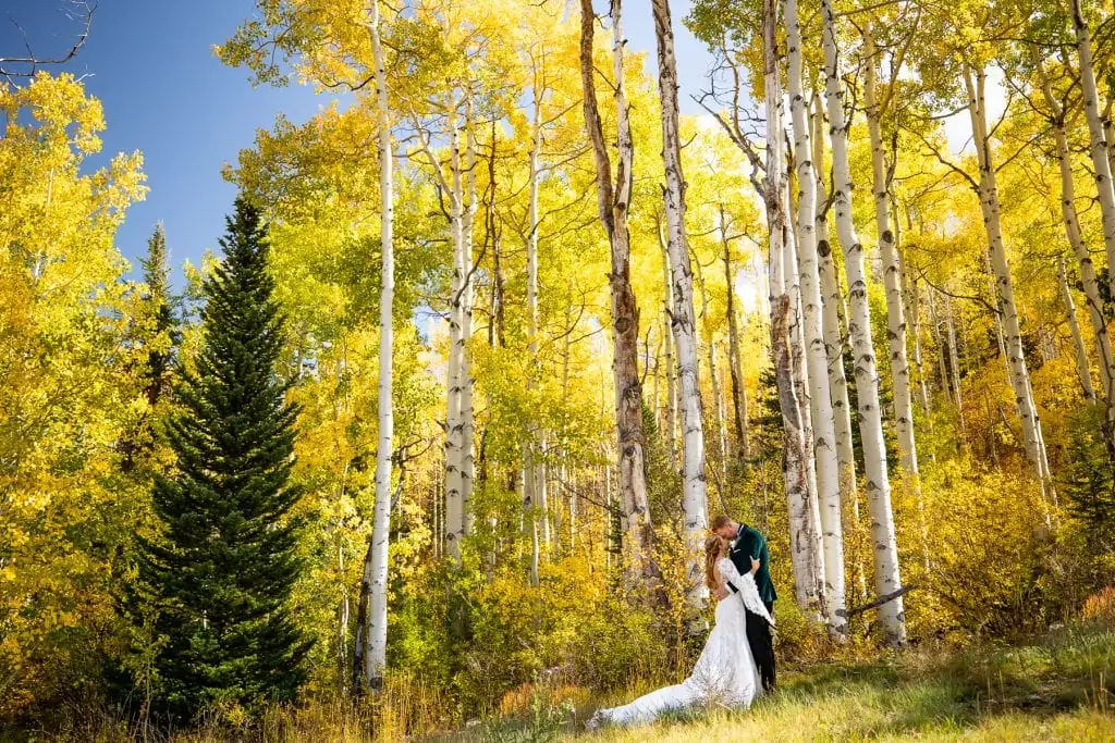 A bride and groom share a first look on their elopement day in an Aspen forest in fall.