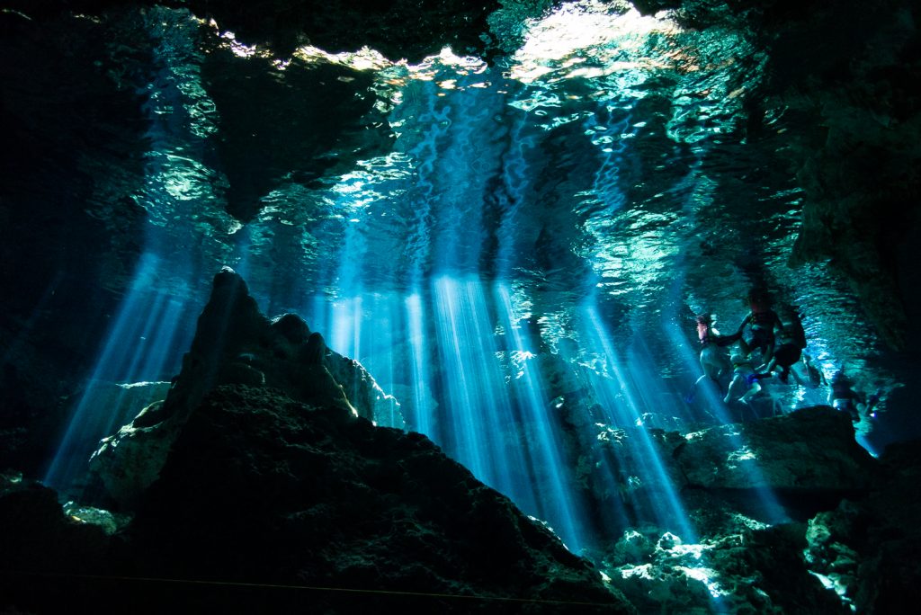 Blue rays of light shine into a cenote in Tulum, mexico.