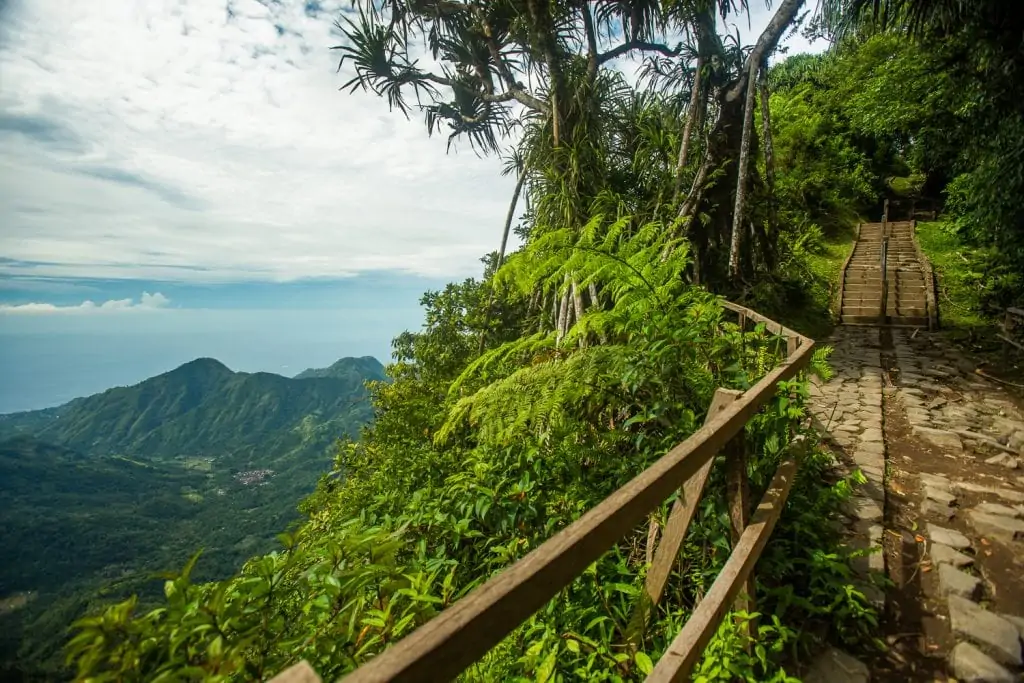 A hiking trail up a mountain in Bali, indonesia by a professional photographer.