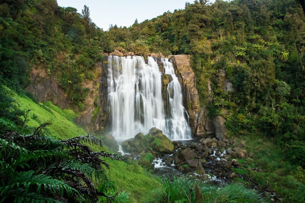 Marokopa falls is a wide waterfall that is set into a tropical cliff.
