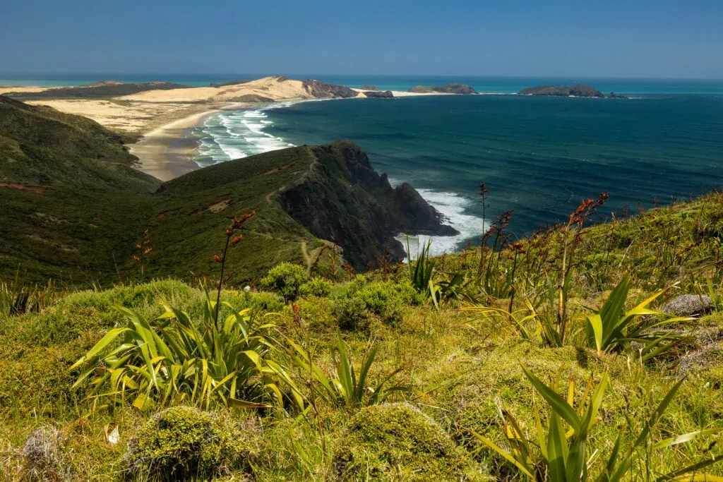 Cape Reinga at the northernmost tip of New Zealand is a stunning area to visit.