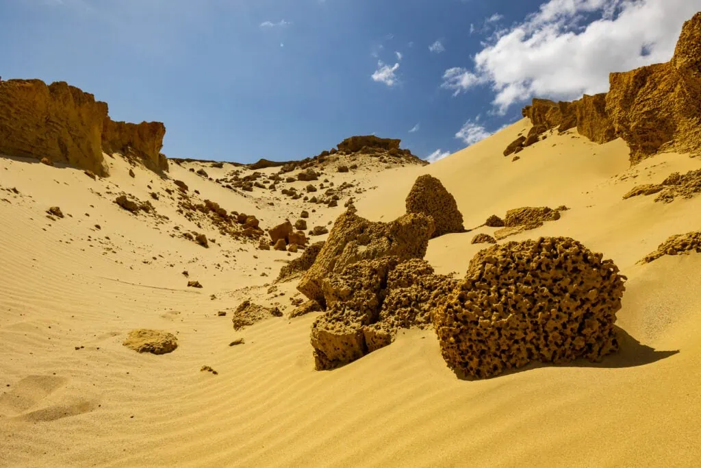 The sand dunes near the north end of New Zealand are a unique place to explore.