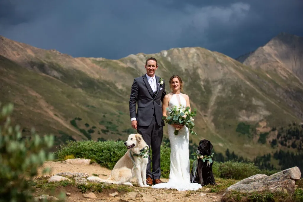 Introverted elopement couple poses with their dogs in a mountain location.