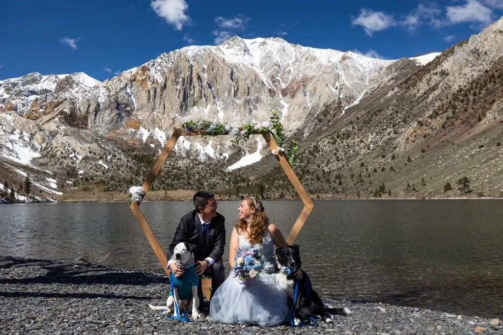 A wedding couple and their dogs at convict lake in eastern california.