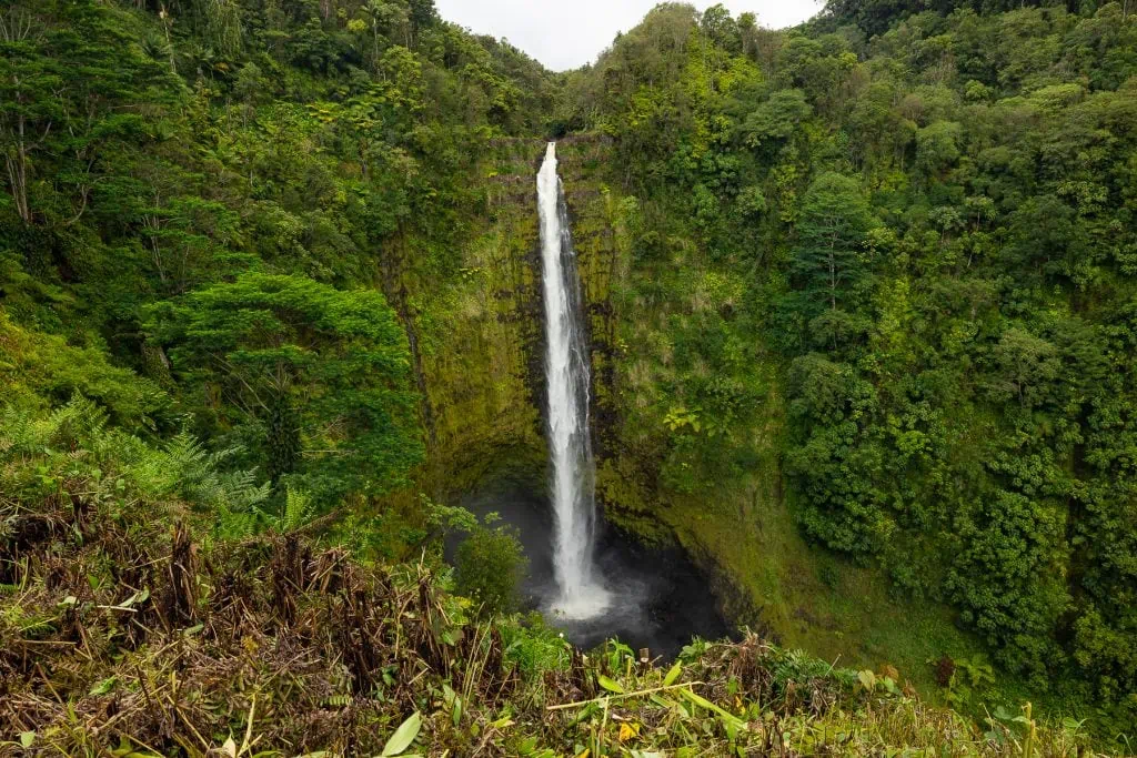 Akaka Falls on the east side of Hawaii near Hilo.